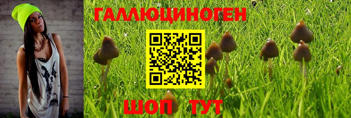 Галлюциногенные грибы мухоморы  Вход с VPN  Волоколамск  Галлюциногенные грибы GOLDEN TEACHER 